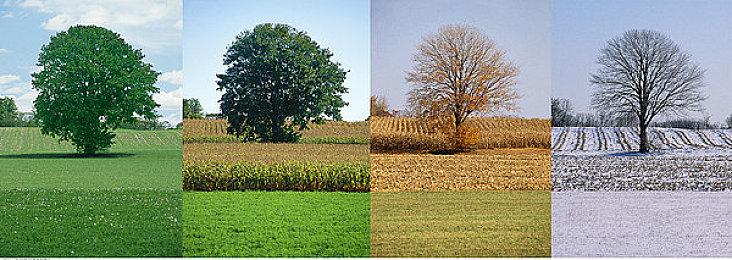 裁员引《命运》玩家不安 Bungie回应：不会再令人失望