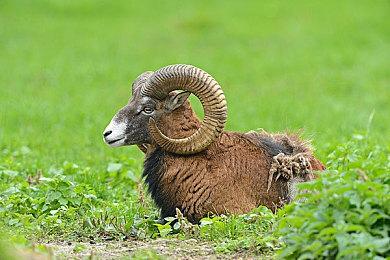 《极限竞速：地平线5》玩家人数超2000万