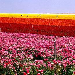 刑侦悬疑新作《春泥》Demo 7月10日上线Steam！化身刑警揭开尘封谜团